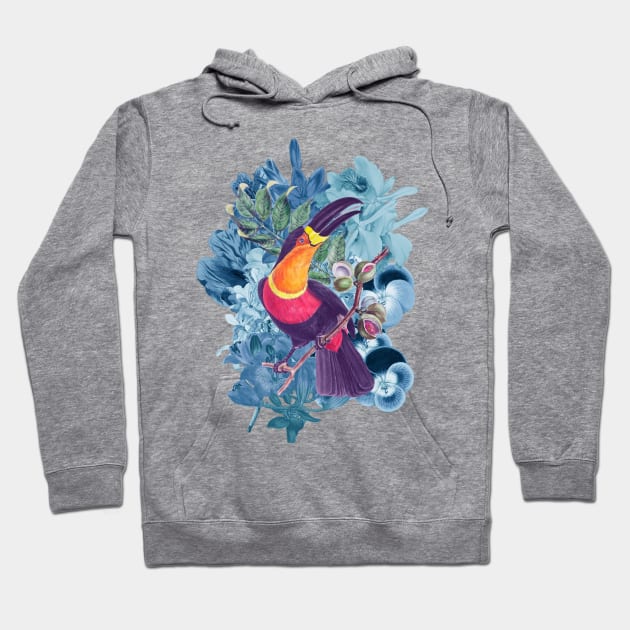 Toucan Apparel Hoodie by fernandaschallen